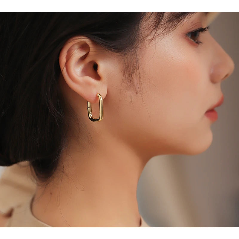 MARIAM  Earrings Prevent Allergy