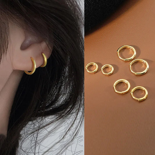 New   Small Hoop Earrings f